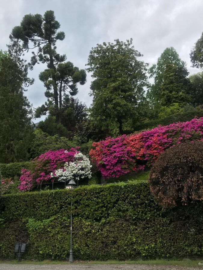 Casa Ivana Menaggio Dış mekan fotoğraf